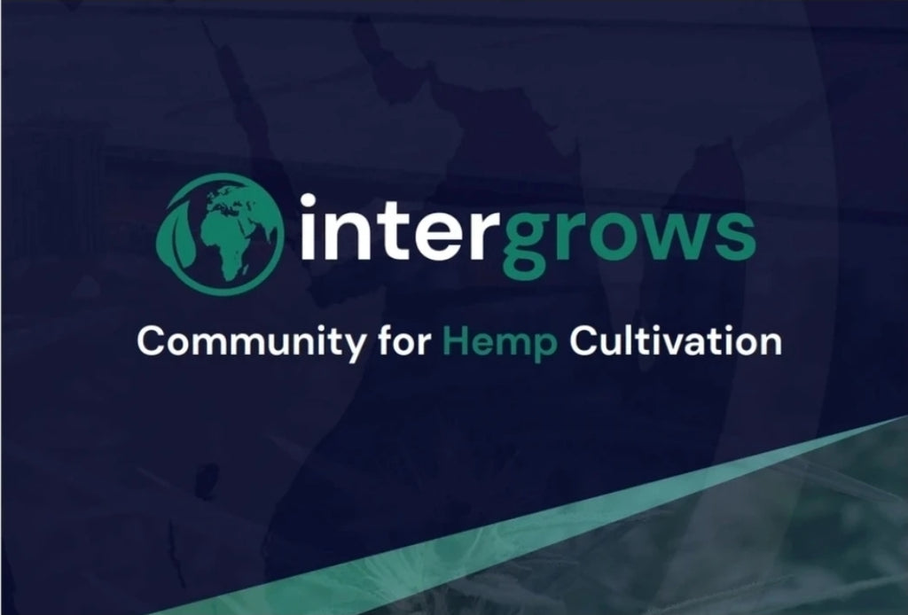 Intergrows - Hemp Cultivation